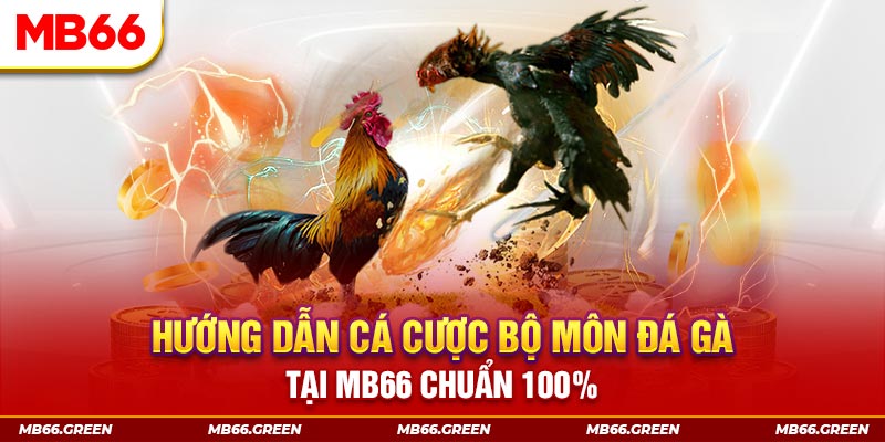 99wim slot là gi