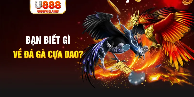 99wim SW Xổ Số