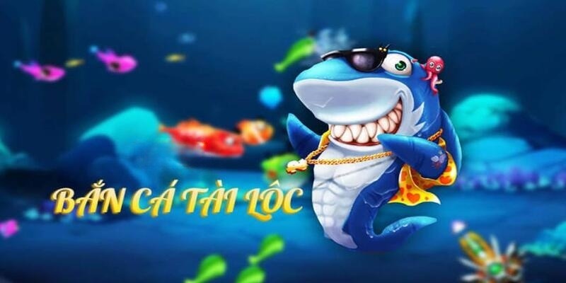 99wim DB Trực Tuyến