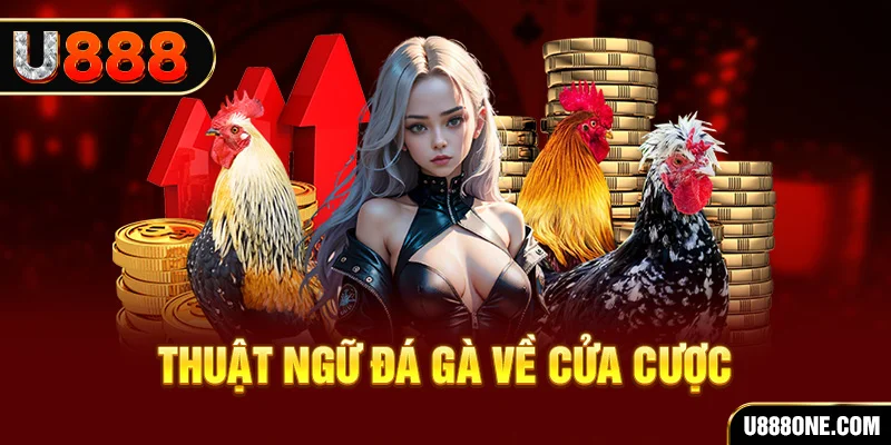 99wim hơn cả bạn bè
