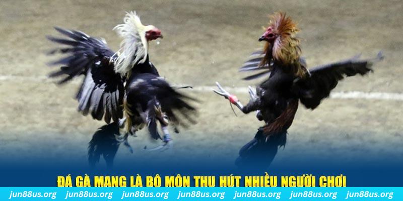 99wim nổ hủ nghĩa là gì