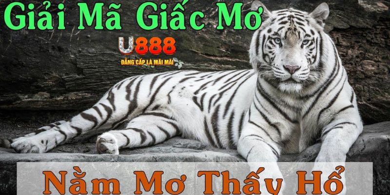 99wim xổ số miền bắc xổ số miền bắc