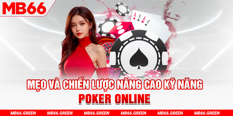 99wim chổi lông gà