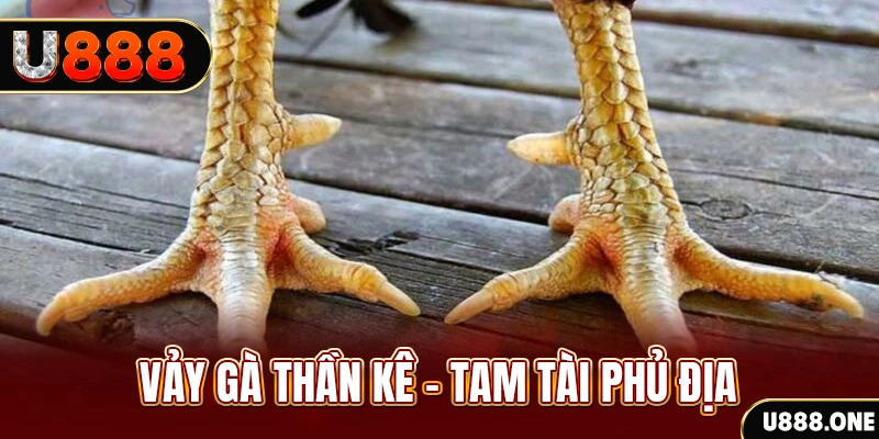 99wim xổ số miền trung thứ hai hàng tuần