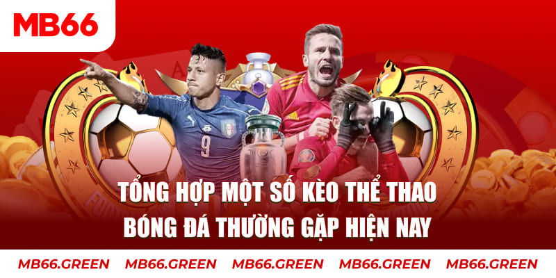 99wim người chia bài trong casino gọi là gì