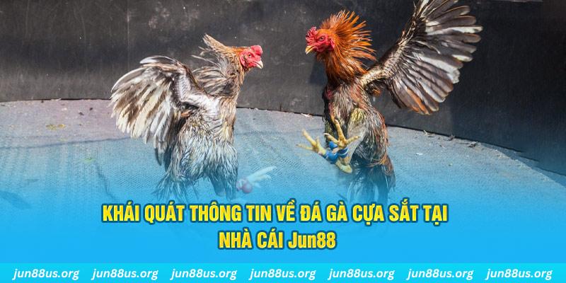 99wim xổ số miền bắc thứ bảy hàng tuần