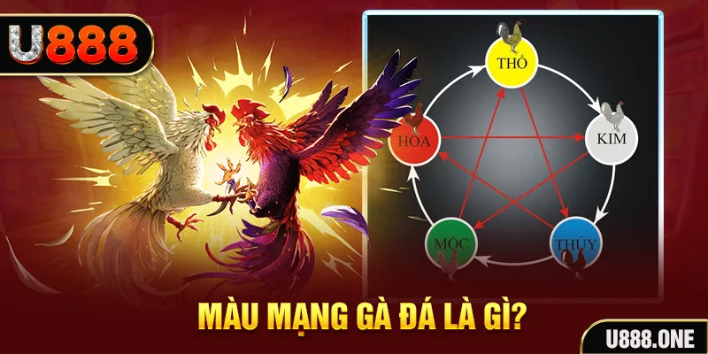 99wim xổ số miền trung thứ tư hàng tuần