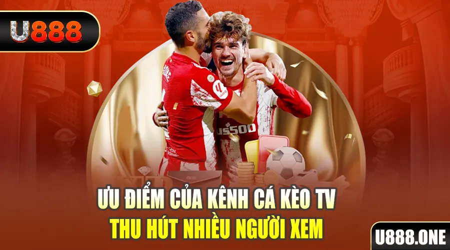 99wim gà chọi cu cần