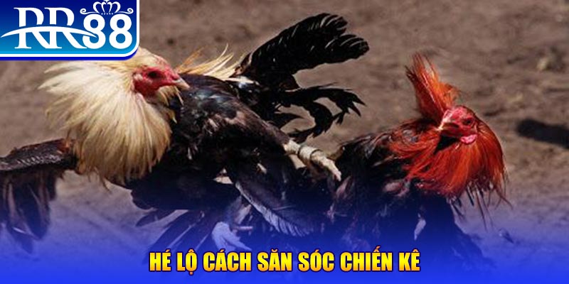 99wim xổ số miền trung thứ tư