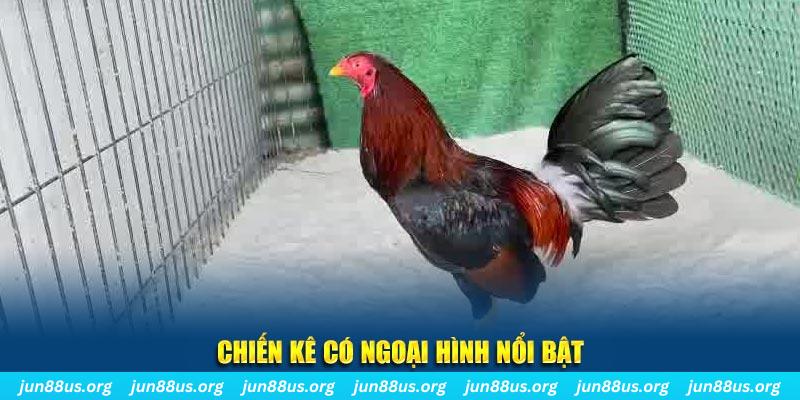 99wim game bắn cá