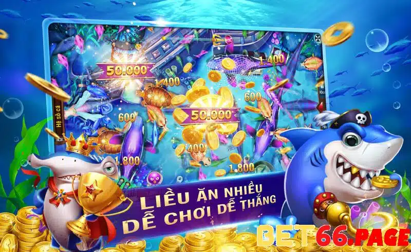 99wim 1 slot là gì