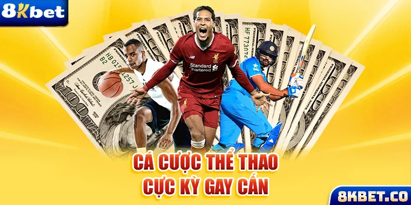 99wim xem đá gà trực tiếp